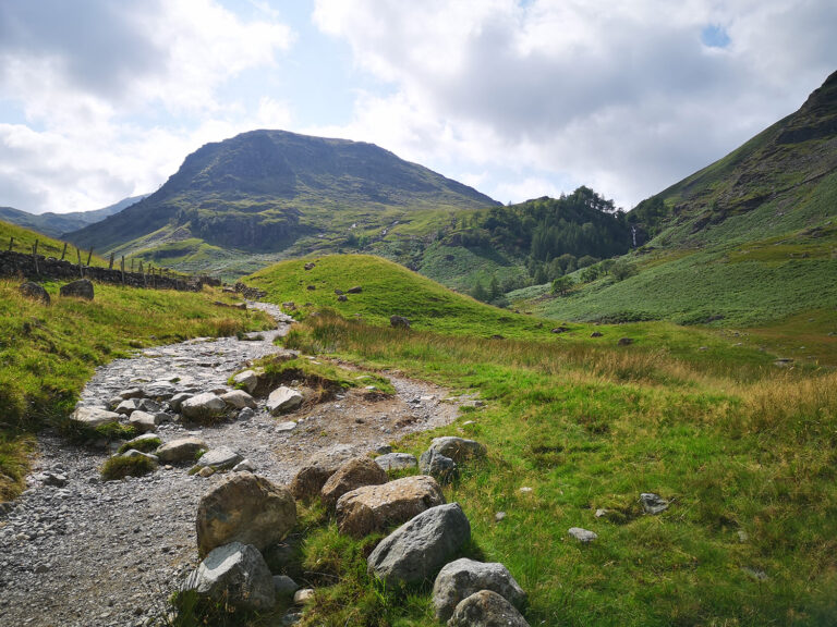 rocky-path-mountain-habitat